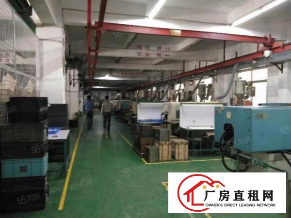  厚街原房东1500平方精装修厂房