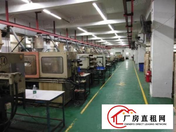  厚街原房东1500平方精装修厂房