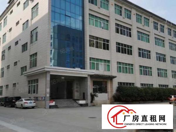  厚街原房东1500平方精装修厂房