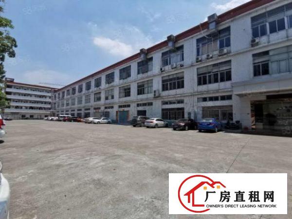  厚街新出一楼标准厂房1000平方带装修