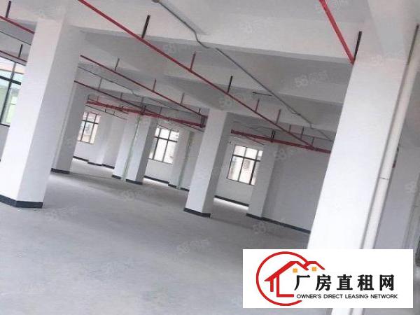  全新厂房原房东独院价格优惠可办环评出
