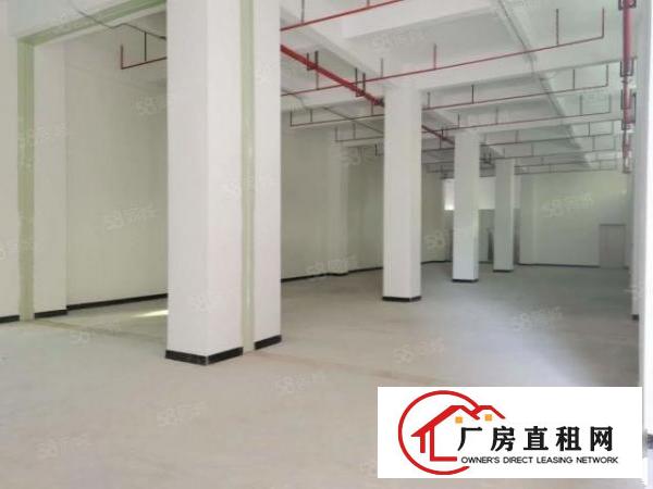  全新厂房原房东独院价格优惠可办环评出