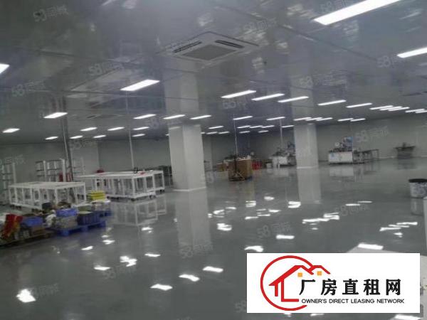  厚街十万级无尘车间，楼上整层3000平方