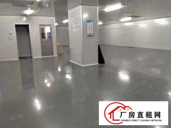  厚街十万级无尘车间，楼上整层3000平方