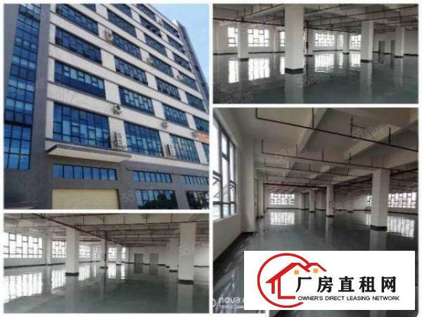  全新标准厂房出租，带地板漆
