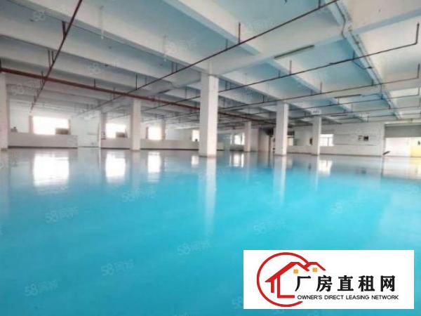  汀山广场成熟园区招租超低价1楼