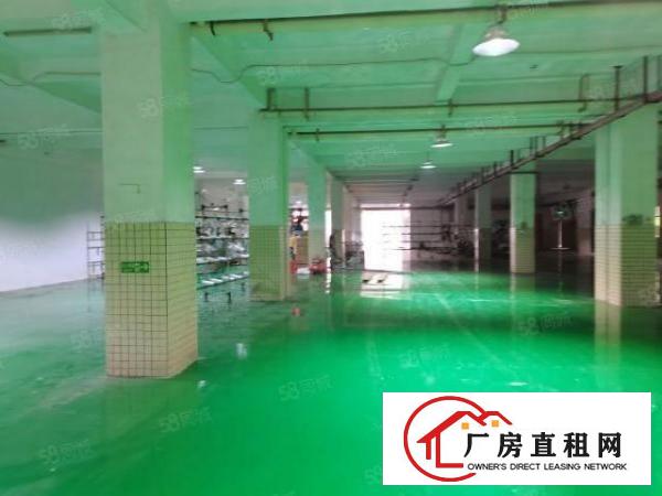  水电齐全，带精装修办公室，花园式厂房，带地坪漆车间，干静整齐