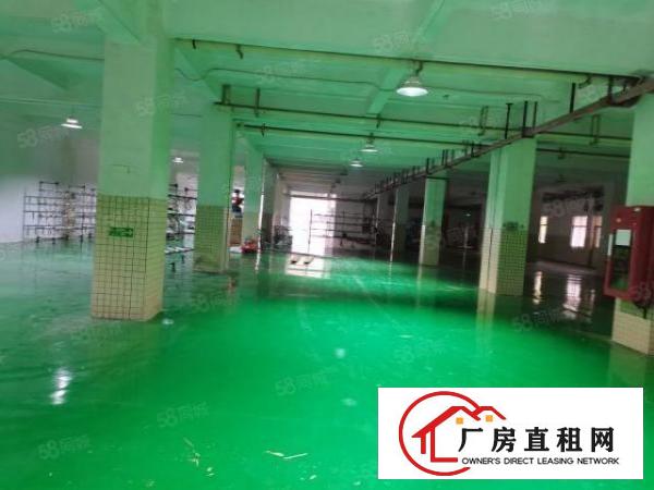  水电齐全，带精装修办公室，花园式厂房，带地坪漆车间，干静整齐