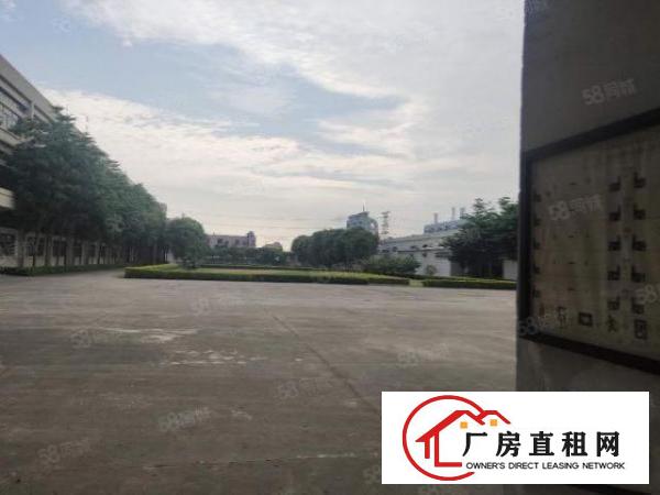  上市公司教育基地，厚街新出独院红本厂房空地两万方
