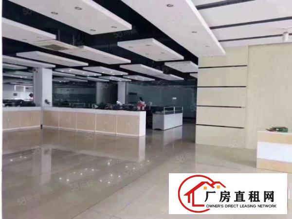  上市公司教育基地，厚街新出独院红本厂房空地两万方
