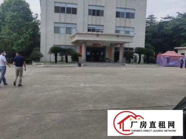  上市公司教育基地，厚街新出独院红本厂房空地两万方