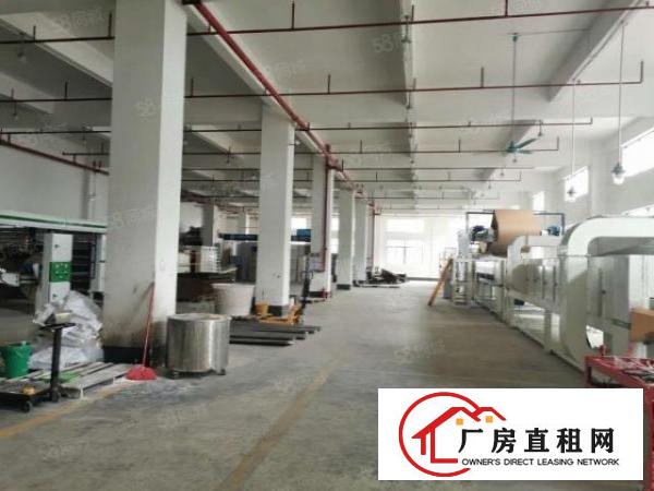  上市公司教育基地，厚街新出独院红本厂房空地两万方