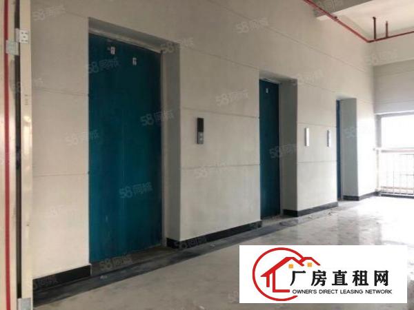  实图（全新欧式厂房）厚街楼上3372平方可分租。