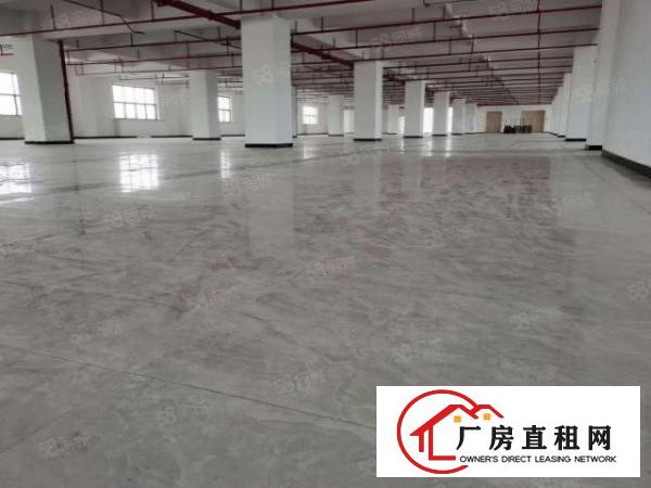  实图（全新欧式厂房）厚街楼上3372平方可分租。