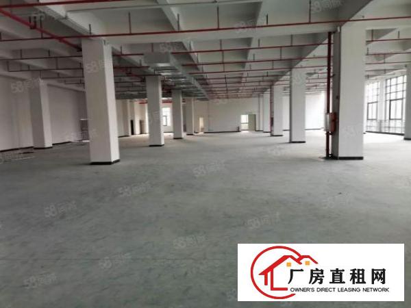  厚街全新一手房东工业厂房，带卸货平台空地大主干道旁,可办环评