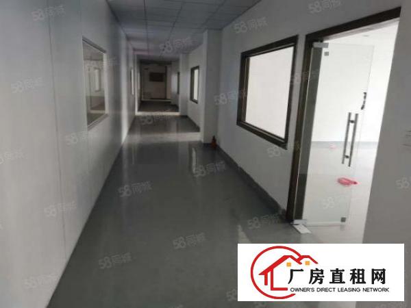  汀山广场路边原房东独院厂房仓库5000方可分租