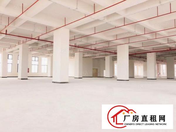  出租！东莞厚街新出楼上2000平高端厂房，园区大气！可分租