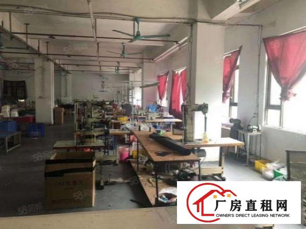  新塘原房东分租一楼1000方标准厂房出租，价格可谈