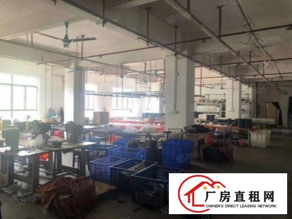  新塘原房东分租一楼1000方标准厂房出租，价格可谈