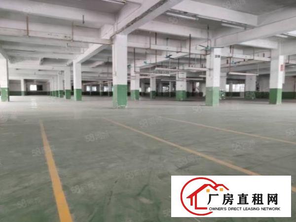  溪头村新处独门独院，厂房空地超大
