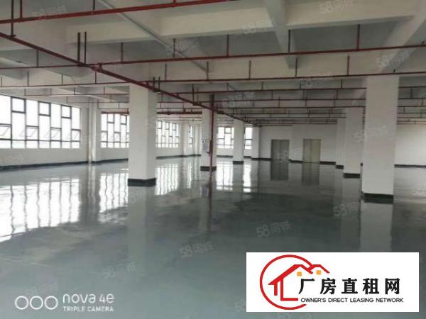  全新标准厂房出租，带地板漆