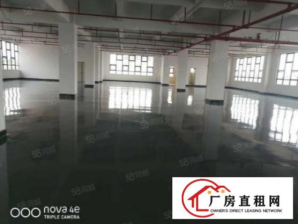  全新标准厂房出租，带地板漆
