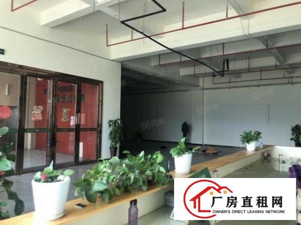  实图（花园式厂房可分租）厚街楼上5000方上市公司标准化厂房