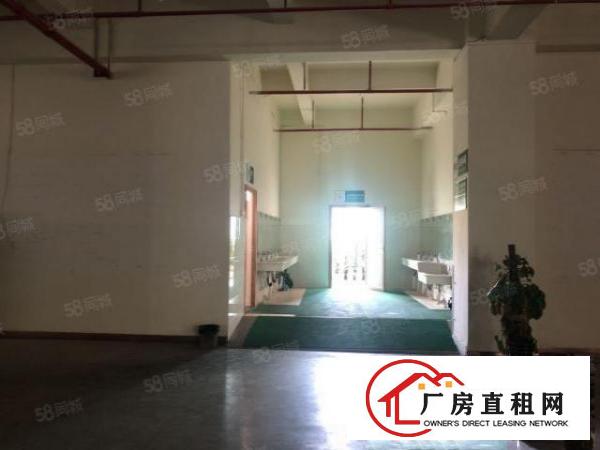  实图（花园式厂房可分租）厚街楼上5000方上市公司标准化厂房