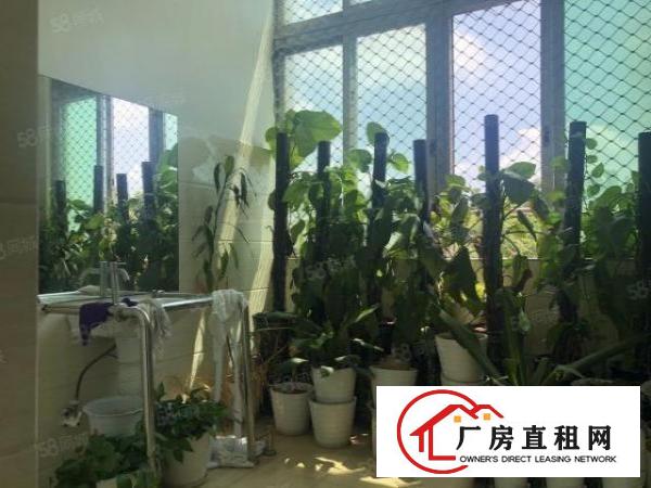  实图（花园式厂房可分租）厚街楼上5000方上市公司标准化厂房