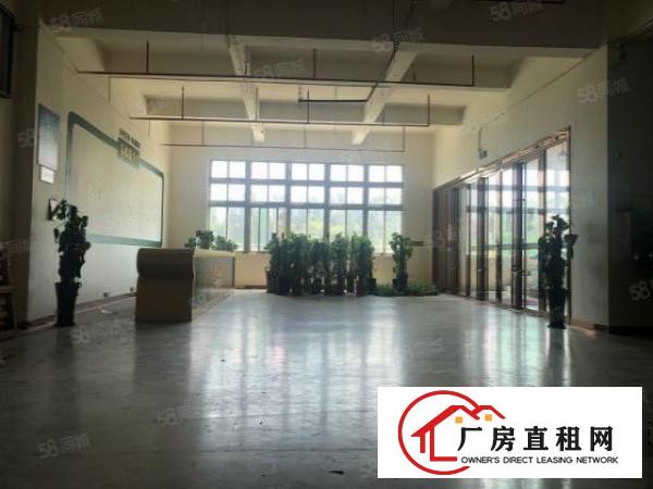  实图（花园式厂房可分租）厚街楼上5000方上市公司标准化厂房