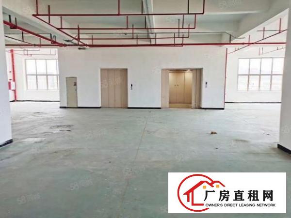  （全新欧式厂房出租）单层面积3300平方出租