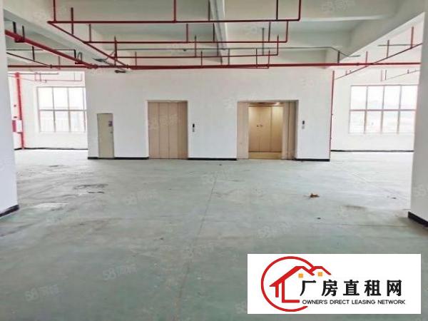  （全新欧式厂房出租）单层面积3300平方出租
