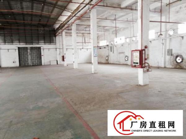  小独门独院单一层钢构厂房