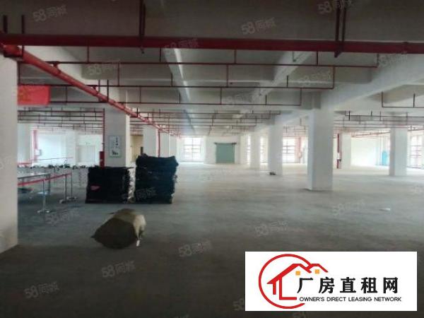  厚街陈屋新出原房东实际面积一楼1000平标准厂房可做生产仓库