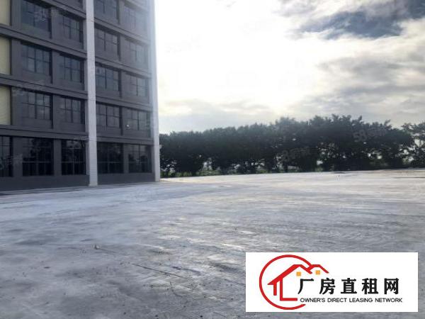  实图（全新现代化厂房）厚街楼上1303平方水电齐全。
