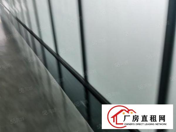  写字楼，电商仓库，网红直播精装修厂房