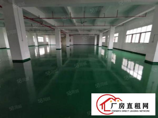  厚街整层1100平方全新地坪漆水电已到位中心区