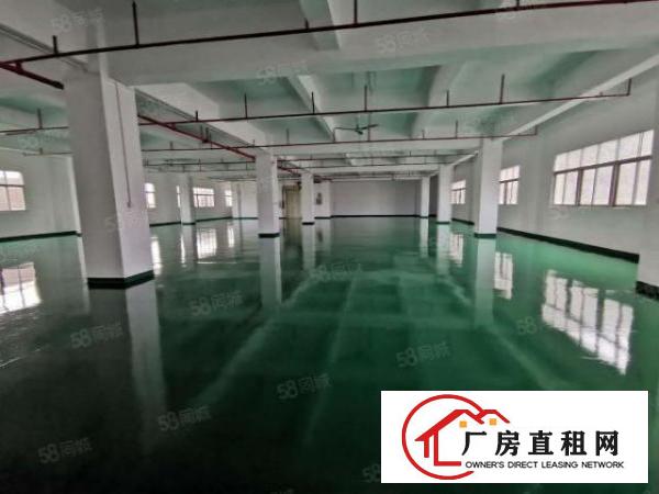  厚街整层1100平方全新地坪漆水电已到位中心区