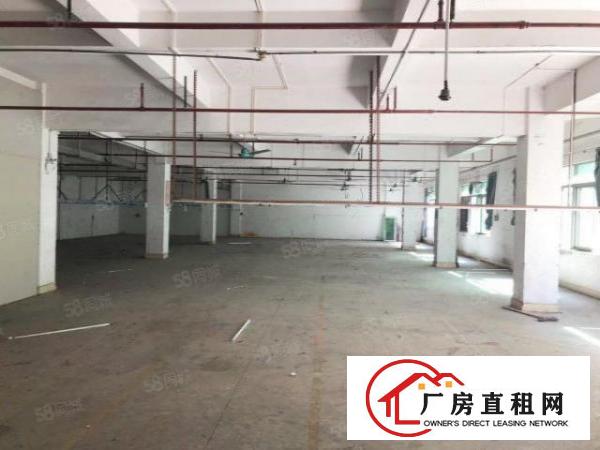  （新建厂房）独栋厂房精装修带2吨货梯现成消防喷淋