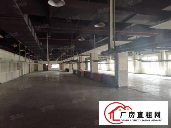  厚街新出原房东独院楼房厂房10000空地5000平方厂房招租