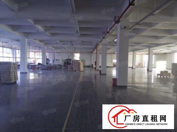  厚街新出带印刷环评厂房2600平方招租有装修