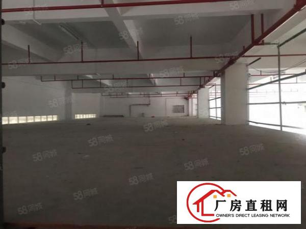  厚街双岗重工业独门独院5500平出租，价格优惠，易招工
