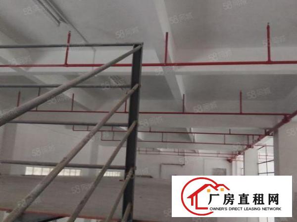 厚街双岗重工业独门独院5500平出租，价格优惠，易招工