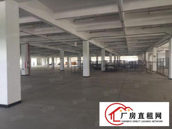  厚街新出花园式红本厂房招租厂房32000平空地20000平