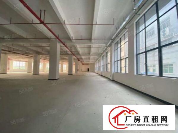  一手房东（一楼7米）标准厂房分租