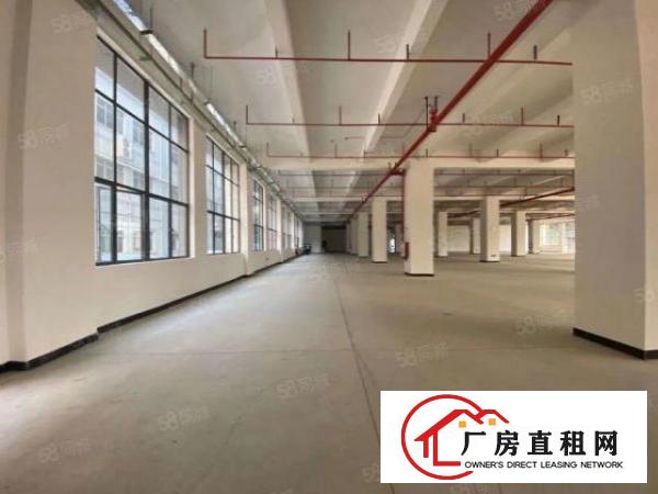  一手房东（一楼7米）标准厂房分租