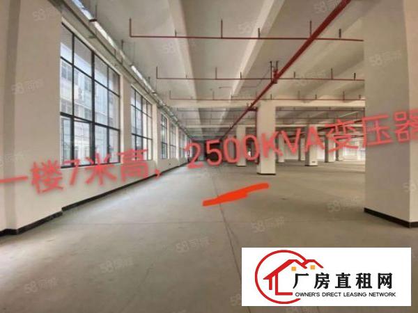  一手房东（一楼7米）标准厂房分租