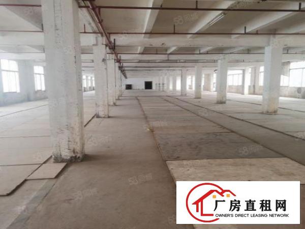  独门独院有家具环评厂房3000平方每层可分租配两台三吨货梯