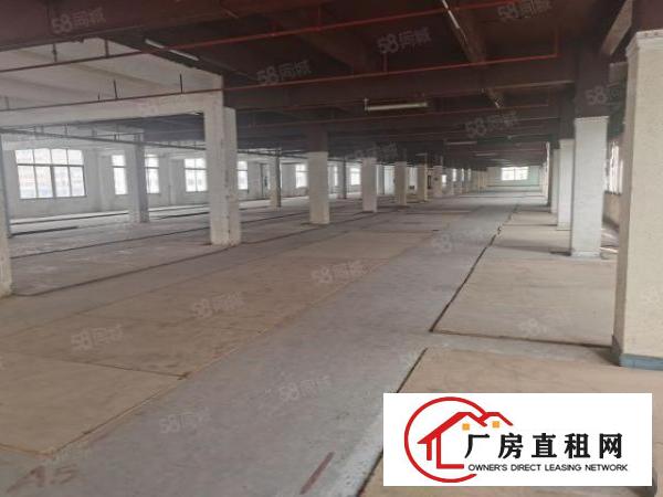  独门独院有家具环评厂房3000平方每层可分租配两台三吨货梯