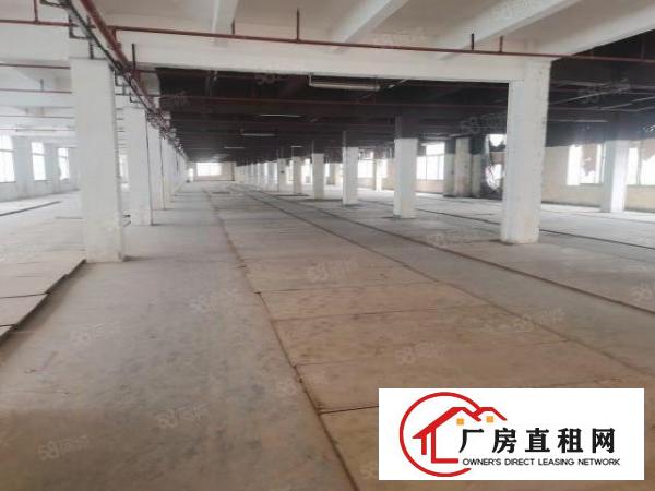 独门独院有家具环评厂房3000平方每层可分租配两台三吨货梯